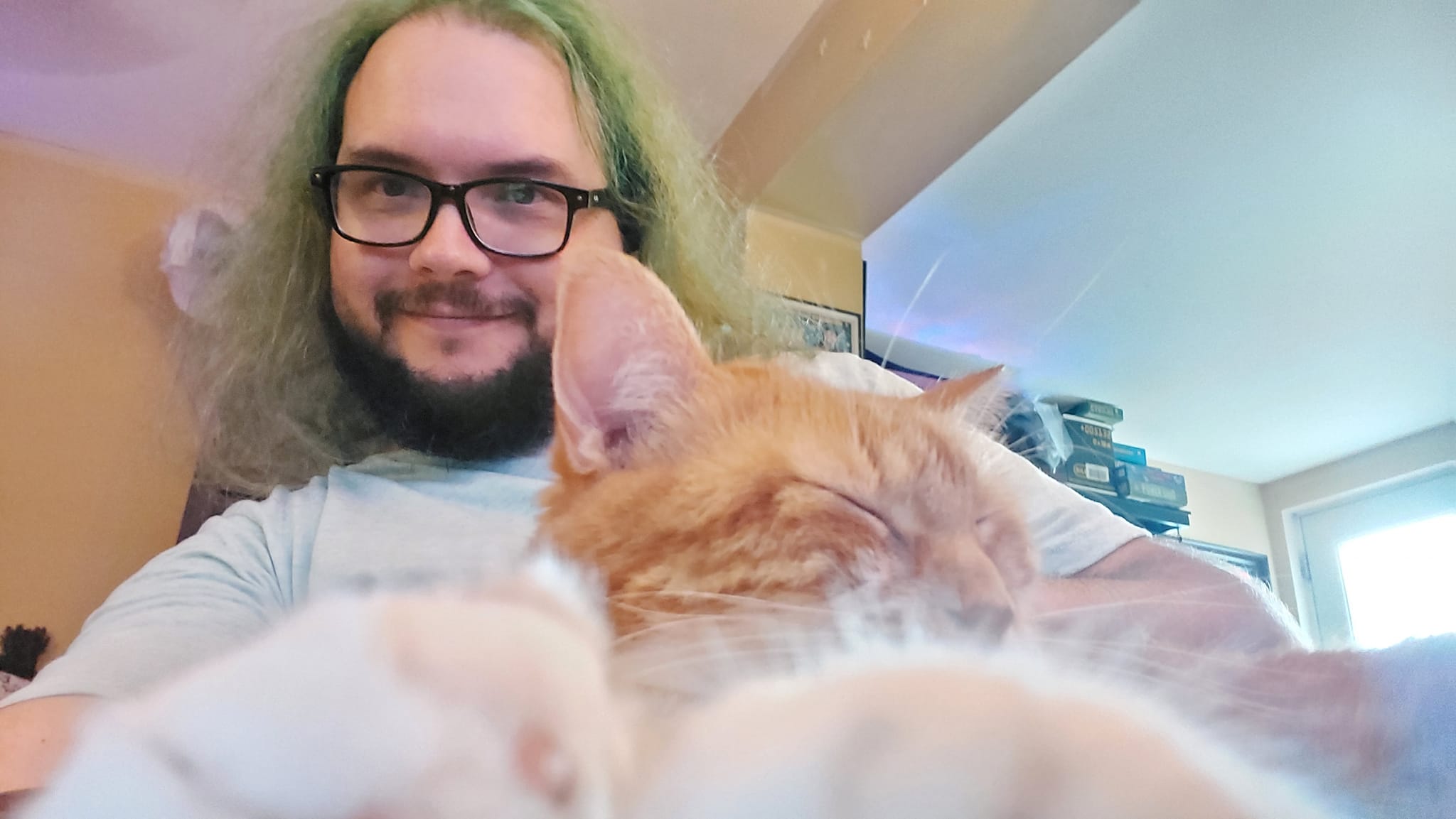 A man with green hair sits in a computer chair inside, with an orange cat in his lap, Photo 5